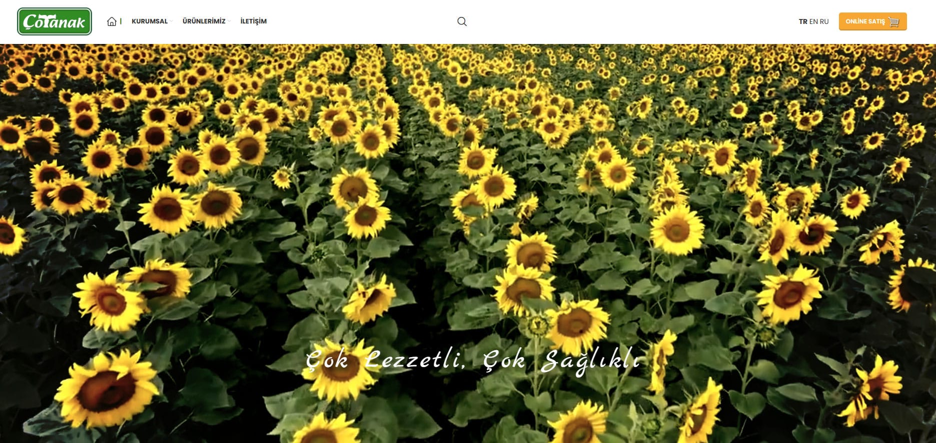 cotanak.com.tr
